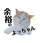 俺、いちのじょう。.3（個別スタンプ：36）