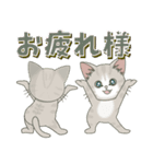 【とびだす】仔猫のぽんにゃん【春爛漫】（個別スタンプ：10）