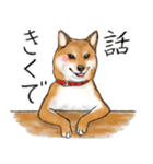 あざとかわいい柴犬こたろうの日常 その3（個別スタンプ：21）