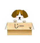 ♡子犬たくさん♡パピーズスタンプ挨拶色々（個別スタンプ：33）