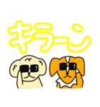 2匹の犬とでか文字で使いやすいスタンプ（個別スタンプ：27）