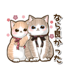 仲良しねこ♡気使いいっぱいスタンプ（個別スタンプ：6）