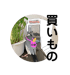 桜文鳥わすけ わすのご用事（個別スタンプ：7）