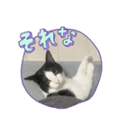 RIRI＆RON⑦（個別スタンプ：2）