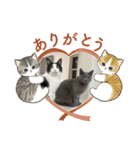 RIRI＆RON⑦（個別スタンプ：5）