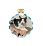RIRI＆RON⑦（個別スタンプ：7）