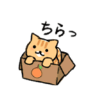 うちの猫スタンプ (^ΦωΦ^)（個別スタンプ：26）