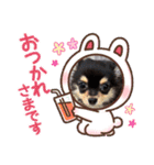 チワワのくう太スタンプ（個別スタンプ：15）