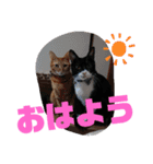 May＆CRAW（個別スタンプ：1）