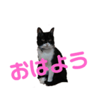 May＆CRAW（個別スタンプ：2）