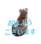 May＆CRAW（個別スタンプ：3）