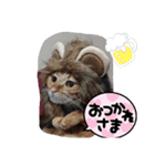 May＆CRAW（個別スタンプ：4）