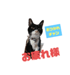 May＆CRAW（個別スタンプ：5）