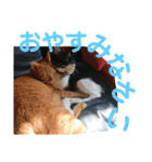 May＆CRAW（個別スタンプ：8）
