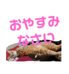 May＆CRAW（個別スタンプ：9）