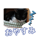 May＆CRAW（個別スタンプ：10）