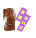 May＆CRAW（個別スタンプ：11）
