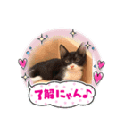 May＆CRAW（個別スタンプ：15）