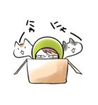 豆日和6（個別スタンプ：8）