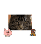 僕の物語①（個別スタンプ：1）