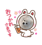 ホワイトポメの可愛い朔たん（個別スタンプ：5）