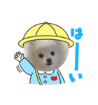 ホワイトポメの可愛い朔たん（個別スタンプ：16）