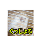 【動く】ハリネズミのちくなの Forever！！（個別スタンプ：22）