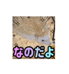 【動く】ハリネズミのちくなの Forever！！（個別スタンプ：24）