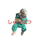 Pearl Brother（個別スタンプ：5）