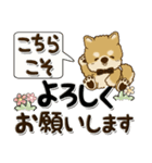 柴犬 ちゃちゃ丸たち 30『新生活に便利』（個別スタンプ：8）