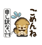 柴犬 ちゃちゃ丸たち 30『新生活に便利』（個別スタンプ：37）