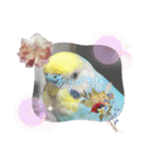 ミィちゃん❣️スタンプ‼︎（個別スタンプ：1）
