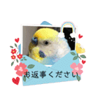 ミィちゃん❣️スタンプ‼︎（個別スタンプ：3）