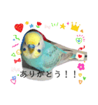 ミィちゃん❣️スタンプ‼︎（個別スタンプ：6）