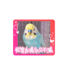ミィちゃん❣️スタンプ‼︎（個別スタンプ：8）