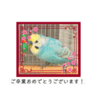 ミィちゃん❣️スタンプ‼︎（個別スタンプ：9）