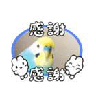 ミィちゃん❣️スタンプ‼︎（個別スタンプ：12）