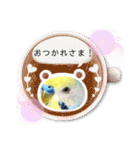 ミィちゃん❣️スタンプ‼︎（個別スタンプ：13）