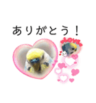 ミィちゃん❣️スタンプ‼︎（個別スタンプ：14）