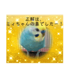 ミィちゃん❣️スタンプ‼︎（個別スタンプ：16）
