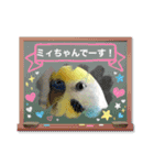 ミィちゃん❣️スタンプ‼︎（個別スタンプ：22）