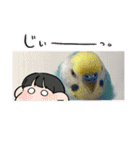 ミィちゃん❣️スタンプ‼︎（個別スタンプ：28）
