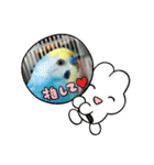 ミィちゃん❣️スタンプ‼︎（個別スタンプ：32）