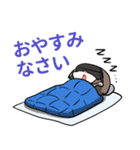 ビッグカツスタンプ3（個別スタンプ：11）