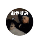 六番街の王子（個別スタンプ：6）