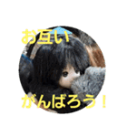 六番街の王子（個別スタンプ：32）