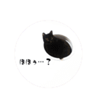 おりたちの おねこ（個別スタンプ：2）