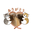 おりたちの おねこ（個別スタンプ：25）