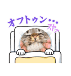 おりたちの おねこ（個別スタンプ：30）