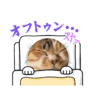 おりたちの おねこ（個別スタンプ：31）